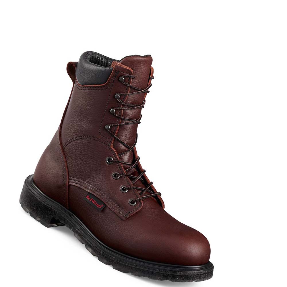 Burgundy Men\'s Red Wing SuperSole® 2.0 8-inch Safety Boots | AU283HAP