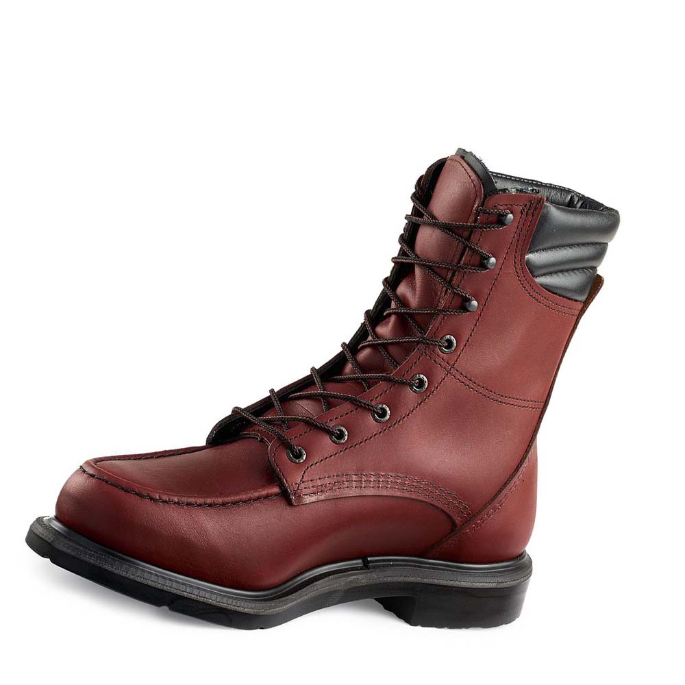 Burgundy Men's Red Wing SuperSole® 8-inch CSA Soft Toe Work Boots | AU84UZG